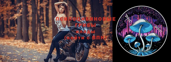 СК Алзамай